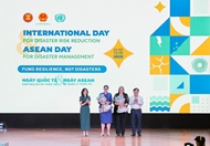 Building safer future for Vietnam and ASEAN region: Official